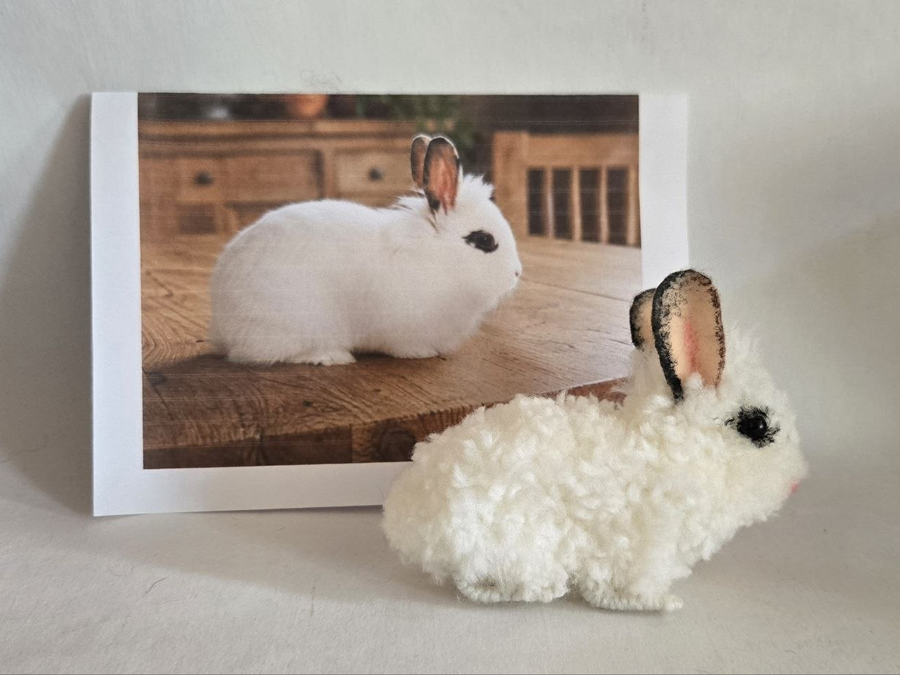 Photo du lapin nain Alfred et de sa Figurine artisanale