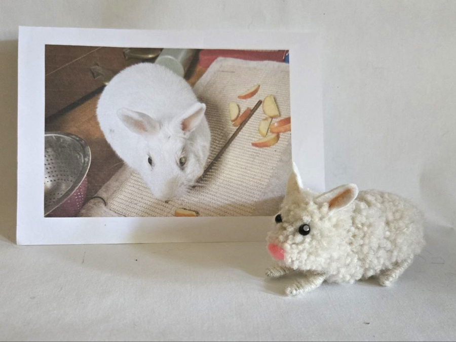 Photo du lapin nain Neige et de sa Figurine artisanale