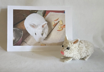 Photo du lapin nain Neige et de sa Figurine artisanale