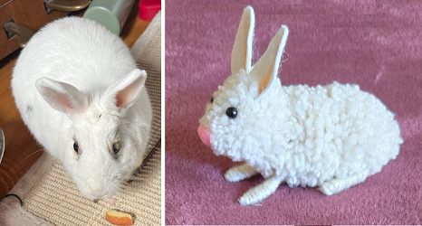 Photo du lapin nain Neige et de sa Figurine artisanale